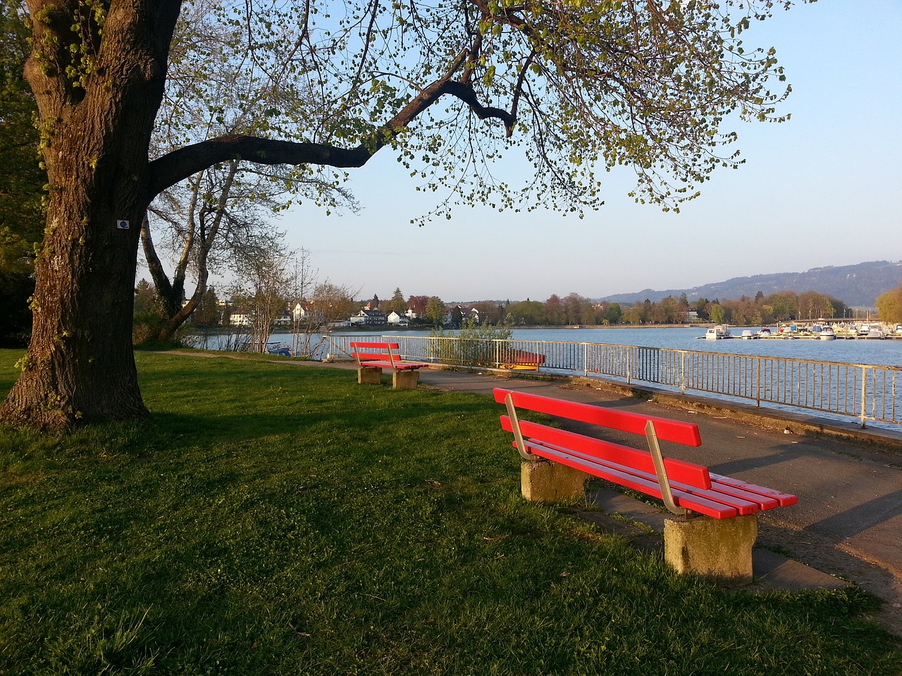 从一个侧面 从一个侧面