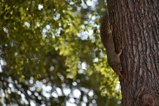 内的热烈讨 内的热烈讨
