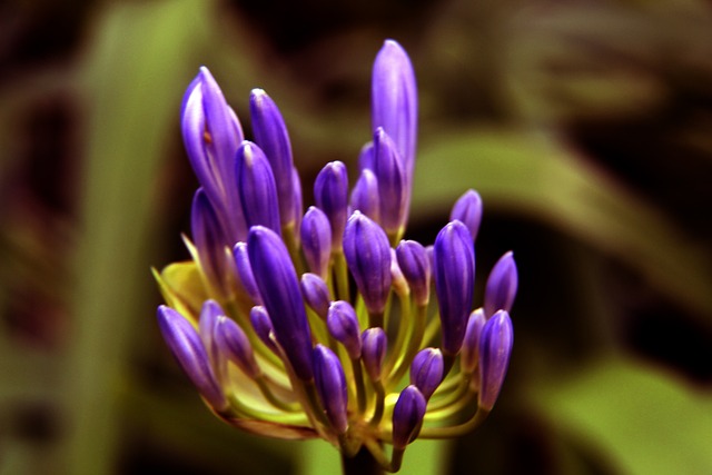 关重要的作 关重要的作