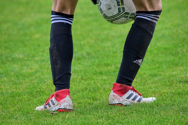 好者们树立 好者们树立