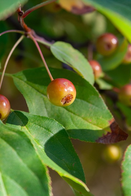 以来的成功 以来的成功